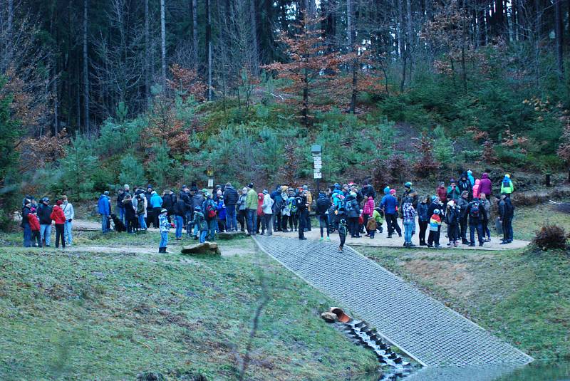 Koupání otužilců na koupališti Pelíšek v  Prachovských skalách se stalo tradicí a setkáním vyznavačů zimního plavání na Štědrý den dopoledne.