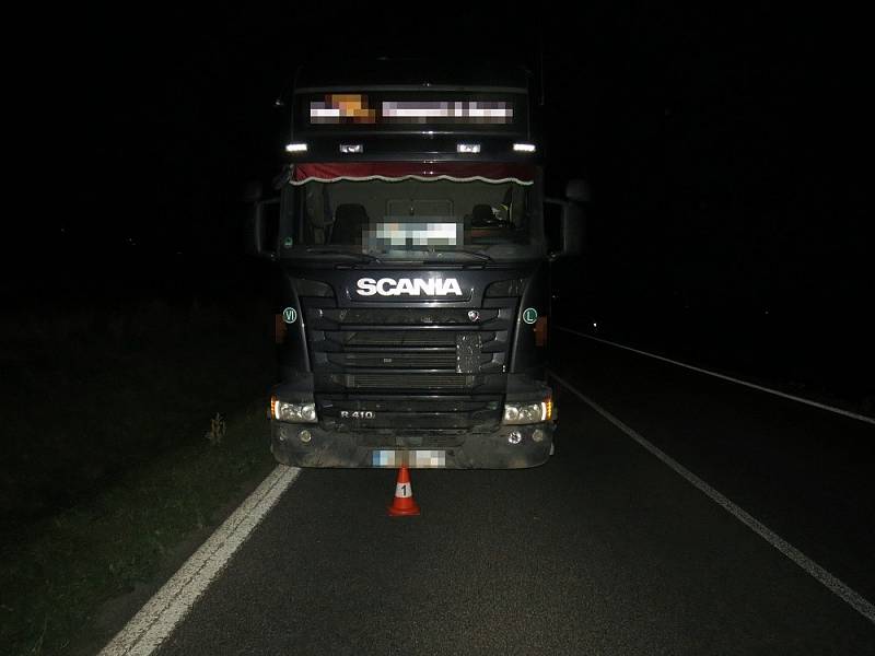 Po srážce s kamionem u Vojic zůstalo na silnici několik kusů uhynulých divočáků.