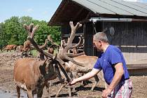 Stanislav Nýdrle z Úlibic u Jičína se věnuje chovu jelenů, muflonů a laní.