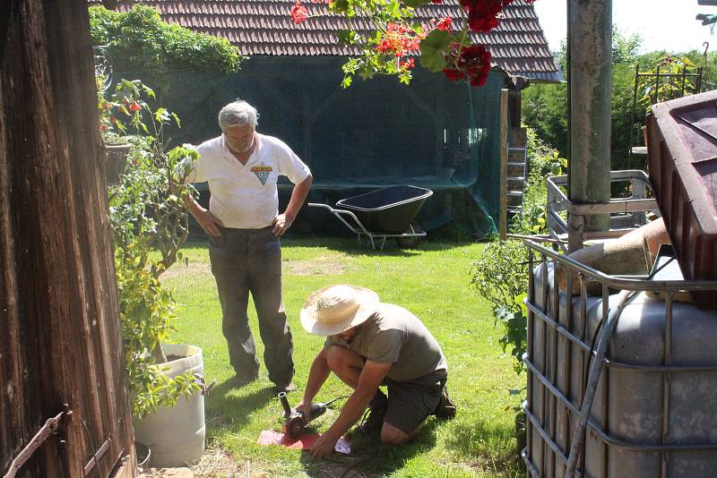 Vůněmi a rozmanitými barvami hýří zahrada v Újezdci u Syřenova na Jičínsku, kde pěstují květiny všech druhů, keře a stromy manželé Suchardovi.