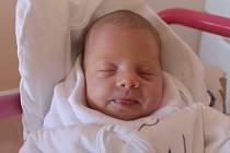 Viktorie Kvasničková je prvním potomkem manželů Andrey a Lukáše Kvasničkových z Hořic. Viktorka se narodila v jičínské porodnici 29. července 2022 v 11.50 hodin. Vážila 3050 gramů a měřila 48 cm. Tatínek byl u porodu mamince velikou oporou.