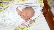 KRISTÝNA VAGENKNECHTOVÁ se narodila 6. března s váhou 2,6 kg a mírou 48 cm jako první děcko Radce a Miroslavu Vagenknechtovým. Domovem trojlístku jsou Úlibice.