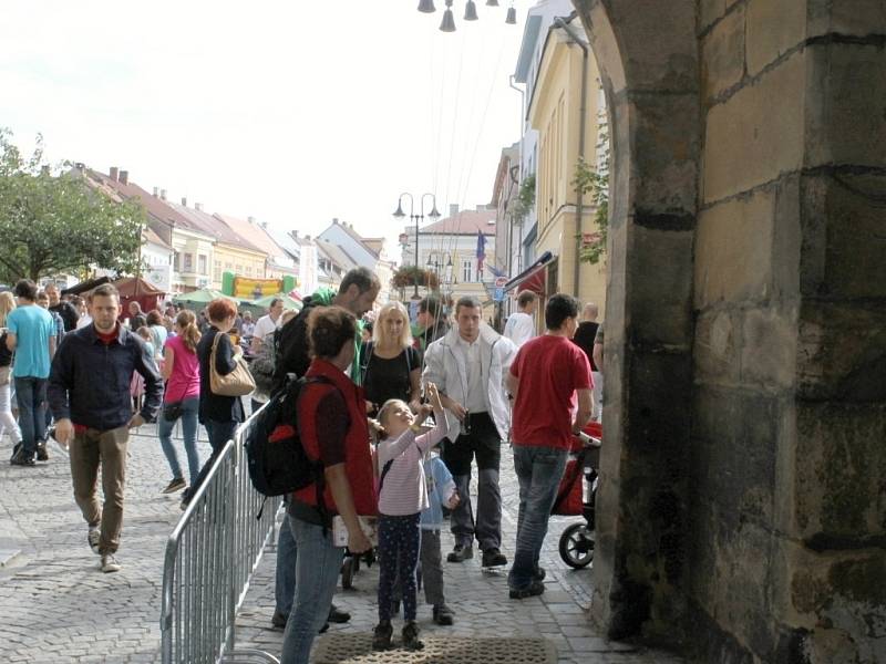 Ze závěru jičínského pohádkového festivalu.