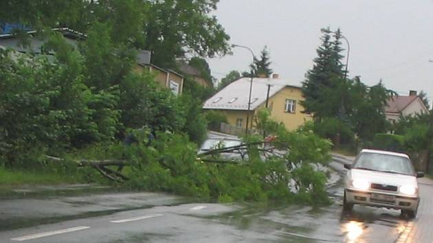 Silný vítr vyvrátil strom, který ve Valdicích spadl přes vozovku.