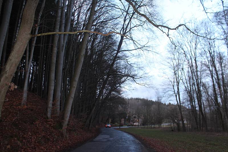 Nebezpečný úsek před obcí Stav, kde jsou nakloněné stromy nad vozovkou druhé třídy.