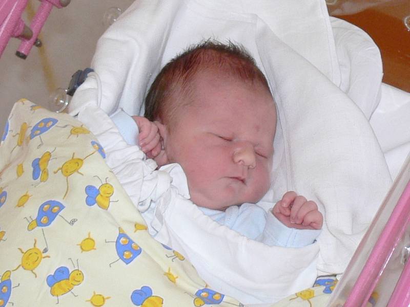 DOMINIK HETFLEIŠ (4,3 kg, 51 cm) poprvé spatřil své rodiče Janu a Martina Hetfleišových 9. ledna, odvezli si ho do Sobčic ke dvouletému Danielovi. 