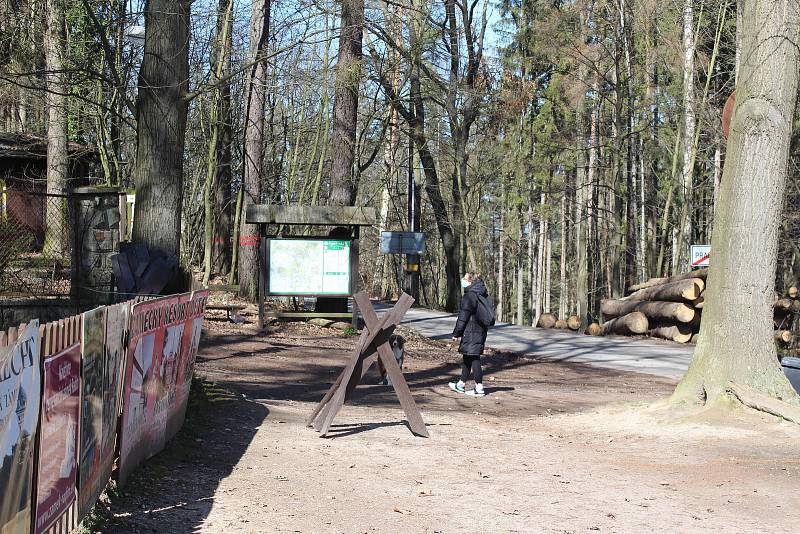 I když jsou Prachovské skály pro veřejnost uzavřeny, řada lidí sem přesto vyráží na procházku. Bohužel, často bez roušek. Provozovatelé se nyní věnují úpravě areálu.