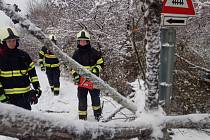 Popadané stromy a větve polámané mokrým těžkým sněhem odstraňovali hasiči během víkendu v celém kraji.