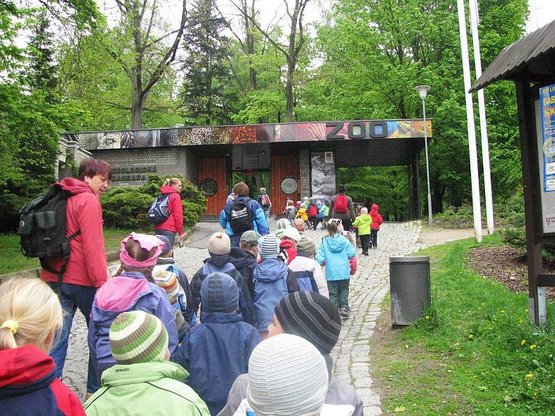 Z výletu dětí ostruženské mateřinky do liberecké ZOO.