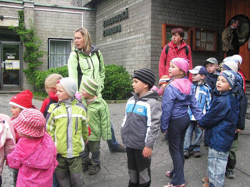 Z výletu dětí ostruženské mateřinky do liberecké ZOO.