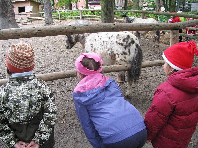 Z výletu dětí ostruženské mateřinky do liberecké ZOO.