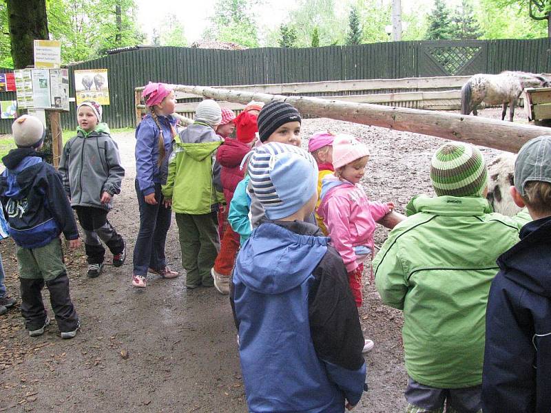 Z výletu dětí ostruženské mateřinky do liberecké ZOO.