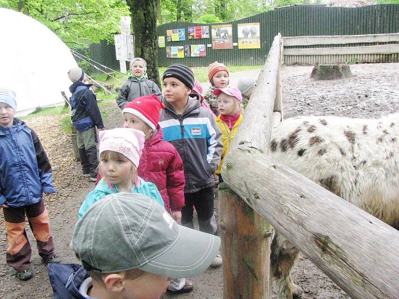 Z výletu dětí ostruženské mateřinky do liberecké ZOO.