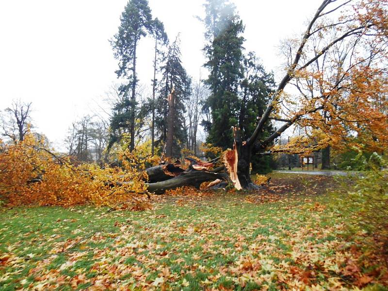 Kopidlnský park pocuchala vichřice