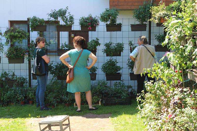 Vůněmi a rozmanitými barvami hýří zahrada v Újezdci u Syřenova na Jičínsku, kde pěstují květiny všech druhů, keře a stromy manželé Suchardovi.