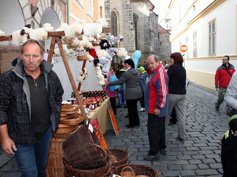 Festival Jičín - město pohádky.