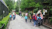 Z výletu dětí ostruženské mateřinky do liberecké ZOO.