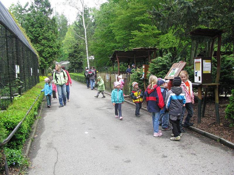 Z výletu dětí ostruženské mateřinky do liberecké ZOO.