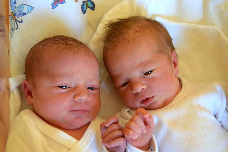 Tereza a Karolína Kočkovy se narodily 26. června s mírami 47 a 44 cm a váhou 3,2 a 2,76 kg.  Z dvojitého přírůstku do rodiny se radují Blanka a Hynek Kočkovi. Na dvojčátka v Kopidlně čekají starší sourozenci.