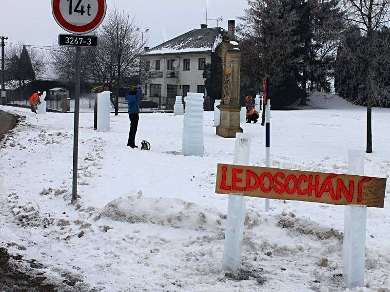 Ledosochání v Dobré Vodě.