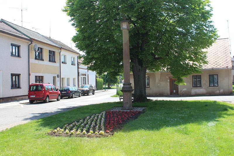 Ve středu dokončili výsadbu letniček v lázeňském městě žáci III. ročníků.