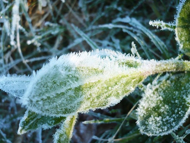 Nejteplejší den zaznamenali meteorologové v Moravských Budějovicích