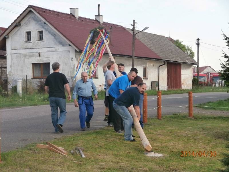 Stavění májky v Čejkovicích.