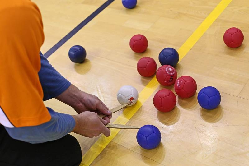 Z činnosti staropackého spolku Sportem proti bariérám.