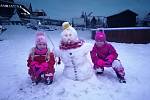 Dcerky paní Martiny Šepsové postavily krásného sněhuláka.