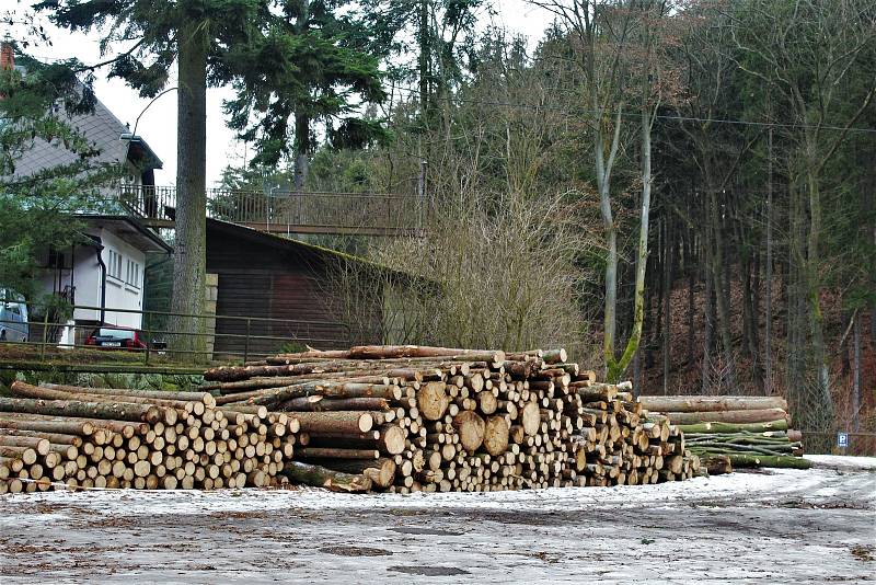 Zimní měsíce se správci rozhodli využít k vytěžení dřeva napadeného kůrovcem. Z toho důvodu je pro chladumilné turisty uzavřena Zelená rokle.