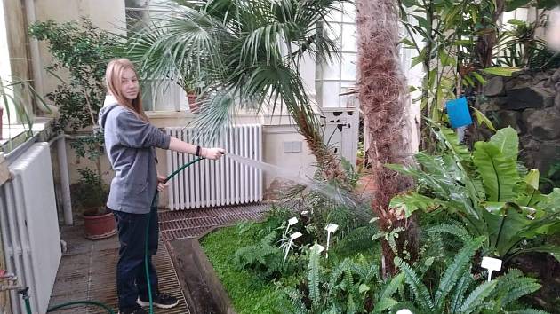 Do školy o prázdninách. Zahradníci v Kopidlně nezahálí, na letních praxích se starají o skleníky a zámecký park