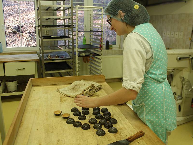 Střední škola gastronomie a služeb: novopačtí cukráři a výroba vánočního cukroví.