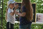 I přes tropické vedro se do Zámeckého parku v sobotu vydaly tisíce lidí. Přilákal je sedmý ročník jičínského food festivalu. Počasí se projevilo i na poptávce - fronty se stály na drinky, pivo z regionálních pivovarů i na zmrzlinu.