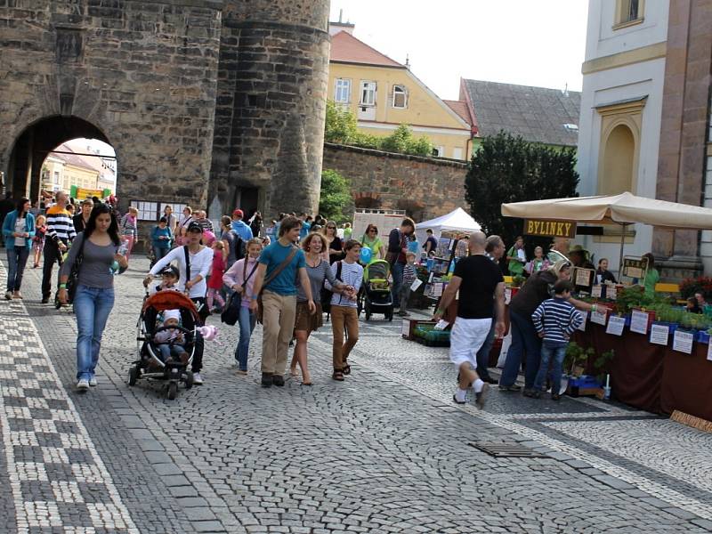 Ze závěru jičínského pohádkového festivalu.