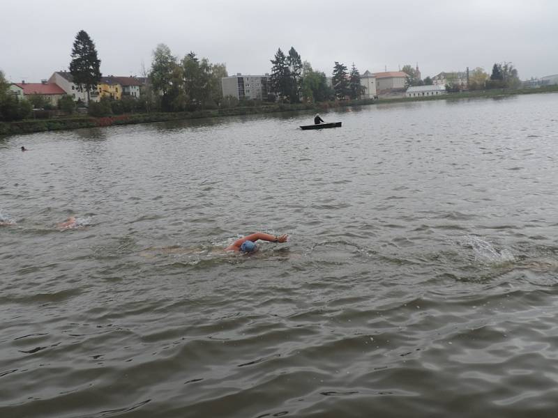 Plavání otužilců na jičínském rybníku Kníže.