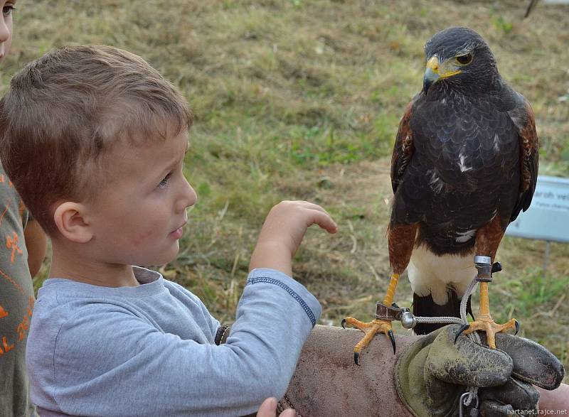 Svatohubertské slavnosti na Kuksu.