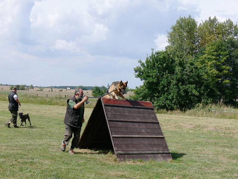 Z kynologických závodů v Pševsi.