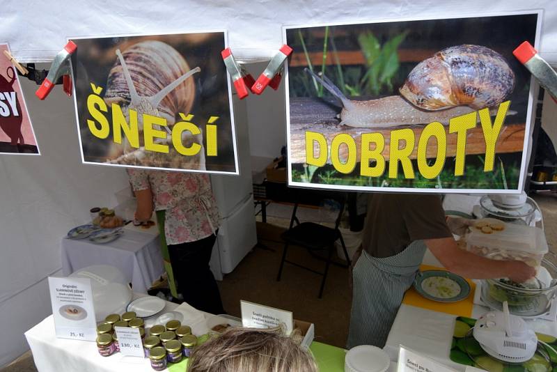 3. ročník Jičínského Food Festivalu 