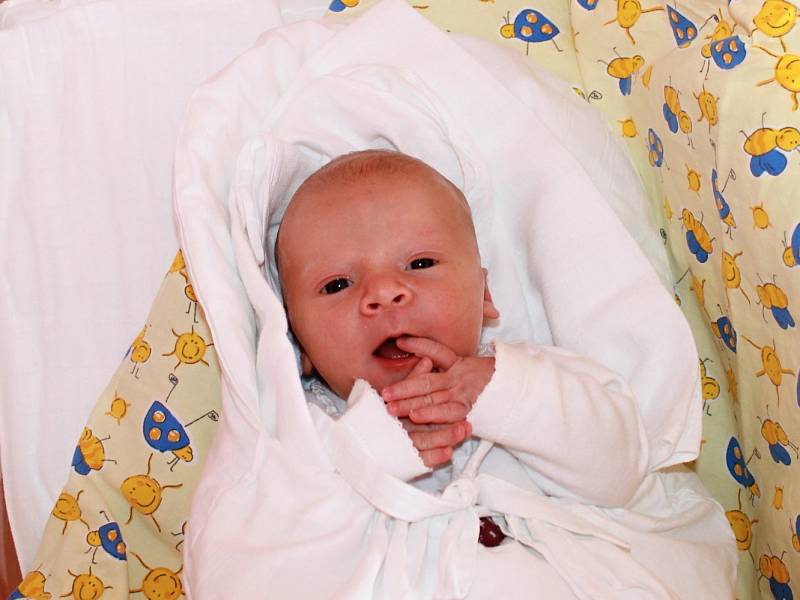LUCINKA DAŇKOVÁ přibyla do rodiny Renaty a Milana Daňkových 5. září s porodní váhou 3,38 kg a mírou 47 cm. Trojlístek bydlí v Dolním Bousově. 