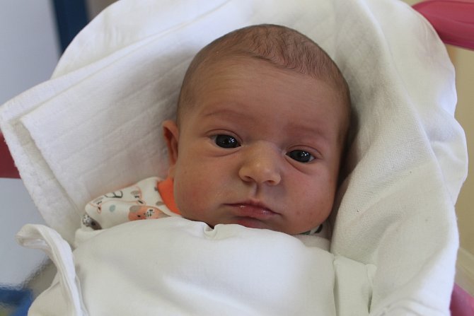 Nikola Nováková je prvním potomkem Jitky a Petra Novákových z Jičína. Narodila se 13. ledna 2023 ve 21.38 hodin s váhou 3330 gramů a mírou 49 cm. „Jo, bylo to krásné,“ říká tatínek o narození dcery.