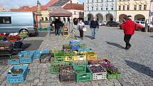 Farmářské trhy v Jičíně s nesmělým nástupem