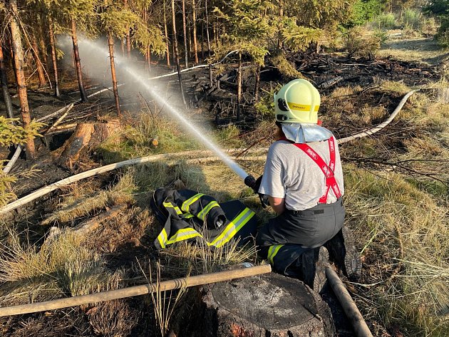 FOTO: Požár lesa u Konecchlumí u Jičína hasí 80 hasičů a vrtulník s bambivakem