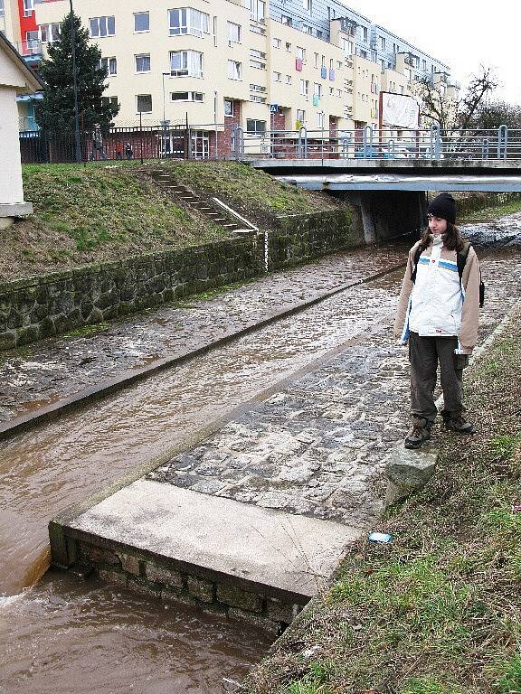 Stav Cidliny v Jičíně v poledne 6. března, povodeň zatím nehrozí.