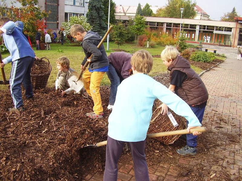 Z ekoareálu u jičínské "čtyřky".