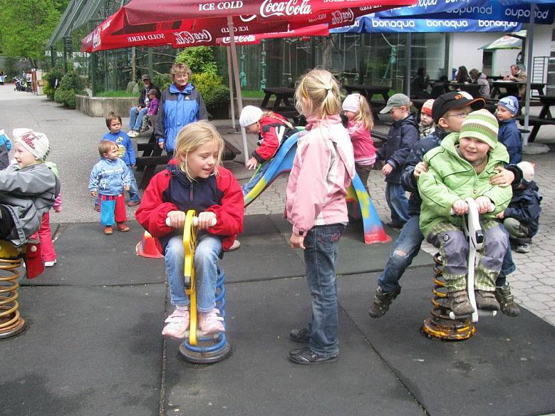 Z výletu dětí ostruženské mateřinky do liberecké ZOO.