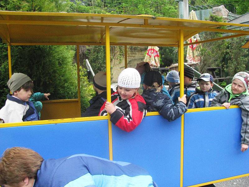 Z výletu dětí ostruženské mateřinky do liberecké ZOO.