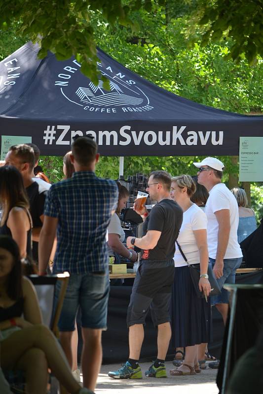 I přes tropické vedro se do Zámeckého parku v sobotu vydaly tisíce lidí. Přilákal je sedmý ročník jičínského food festivalu. Počasí se projevilo i na poptávce - fronty se stály na drinky, pivo z regionálních pivovarů i na zmrzlinu.