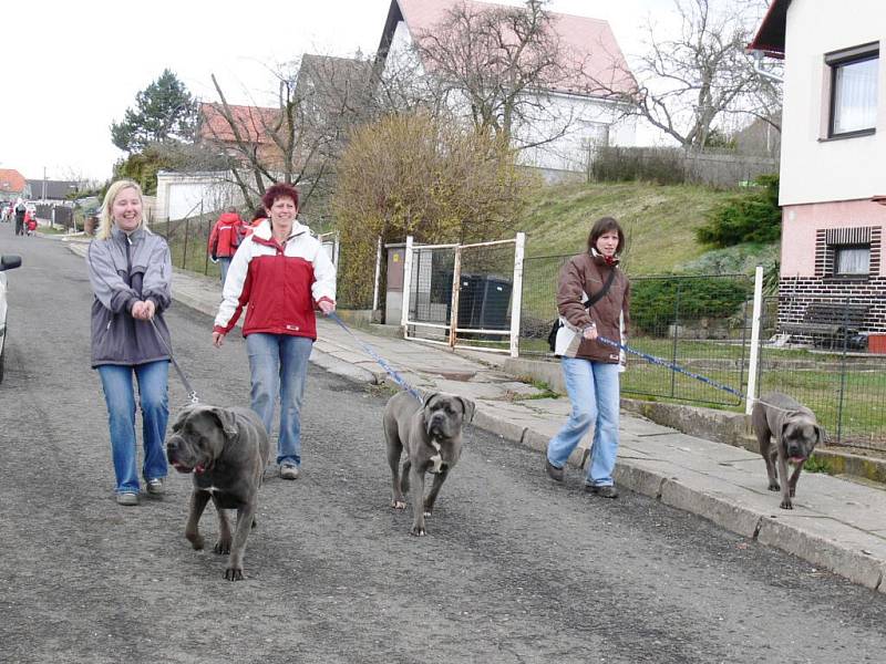 Také tito statní pesáci se nezalekli žádných kilometrů chůze.