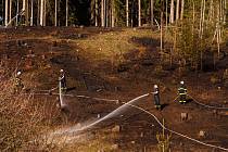 Desítky profesionálních i dobrovolných hasičů likvidovaly požár dvou pasek v katastru obce Bělá u Pecky.