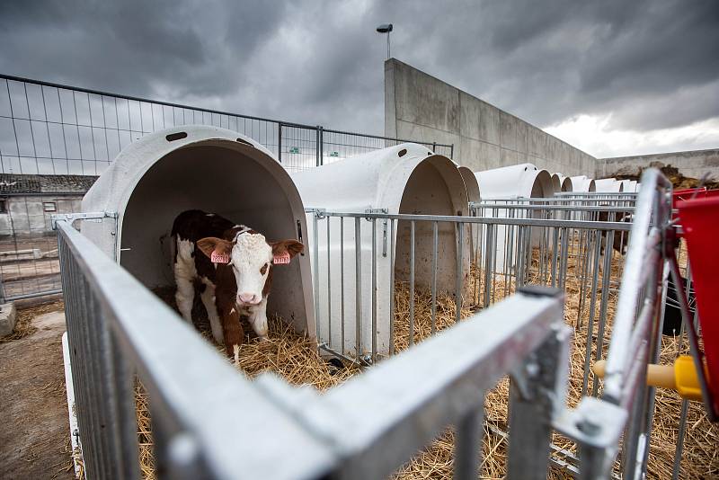 Hořická zemědělská škola vybudovala nový statek.